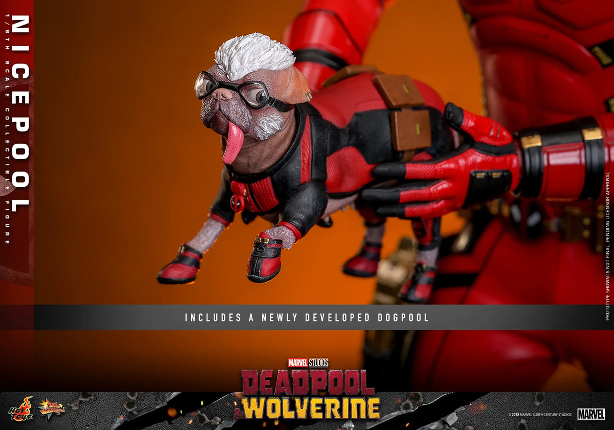 Nicepool Sixth Scale Figure