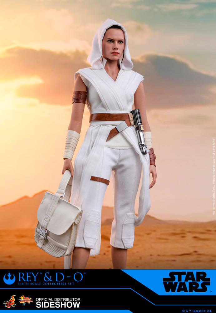 Rey and D-O Sixth Scale Figure