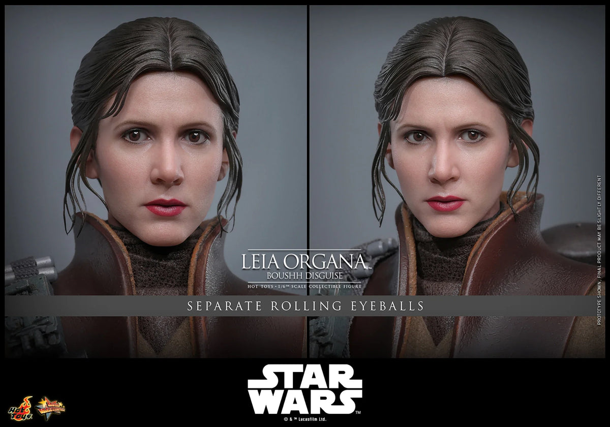 Leia Organa (Boushh Disguise)™ Sixth Scale Figure