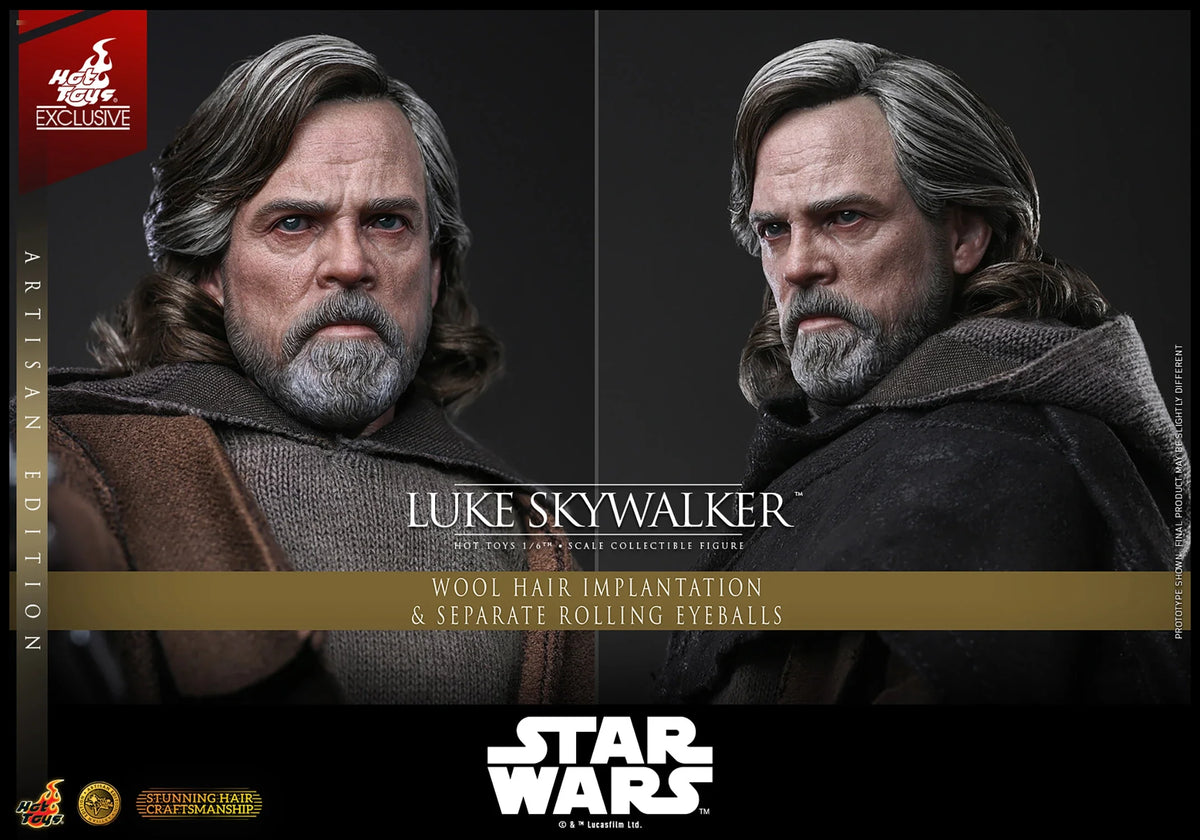 Luke Skywalker (Artisan Edition) Sixth Scale Figure